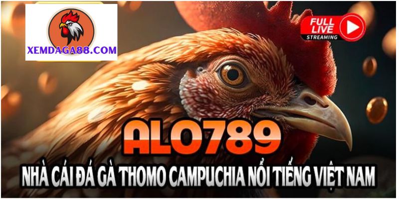 alo789