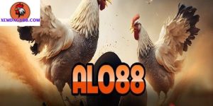 alo88