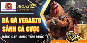 đá gà vegas79