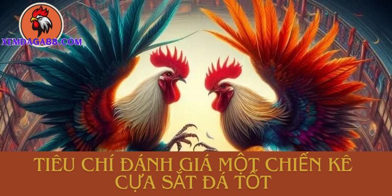 đá gà cựa sắt